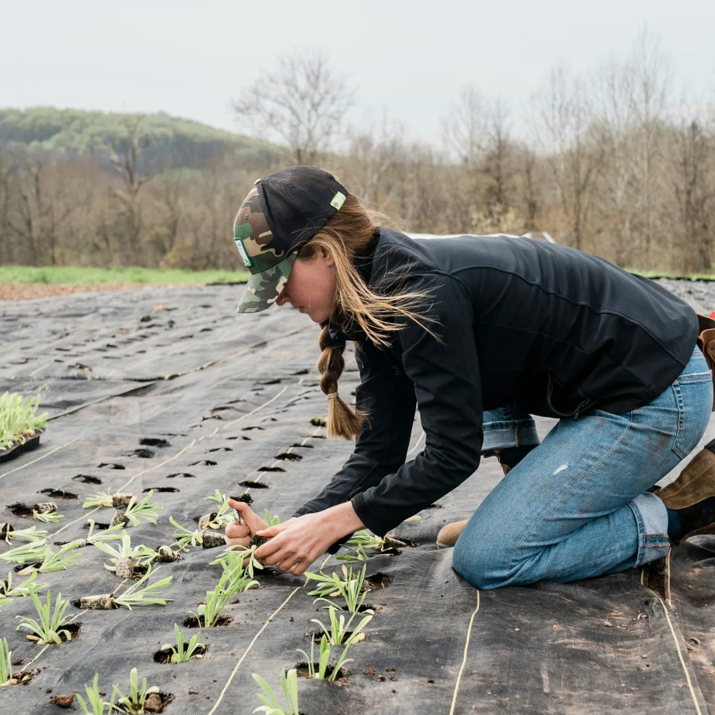 From Clarkson’s Farm to your backyard!